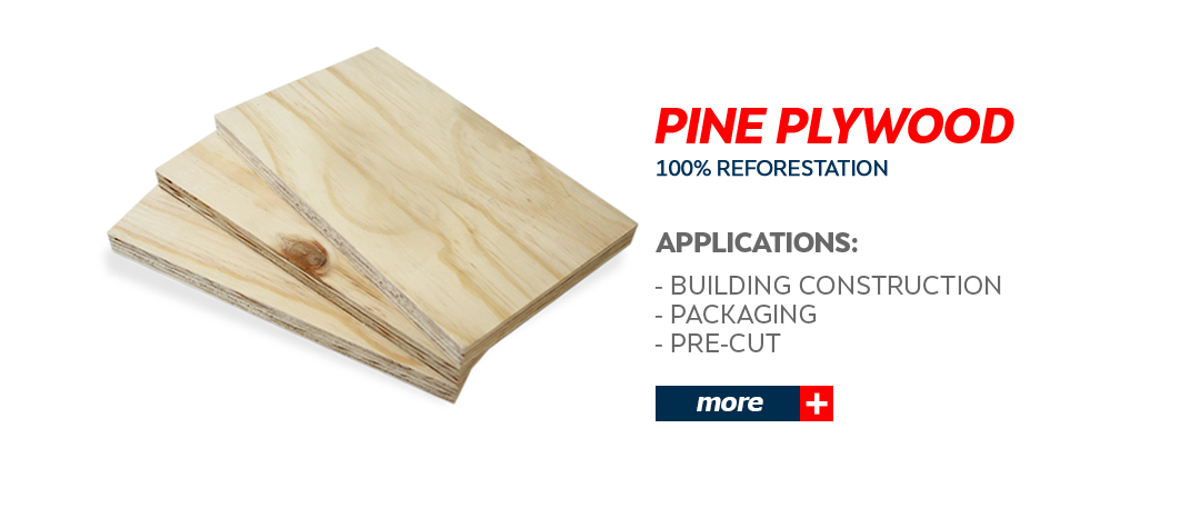 Pine Plywood