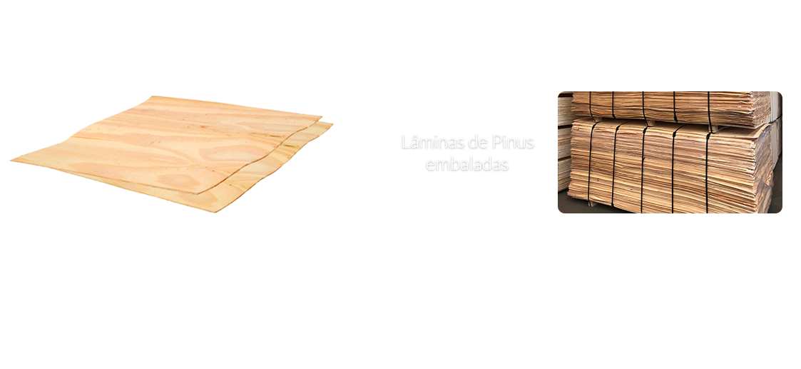 Lâmina Torneada de Pinus/Pine Veneer