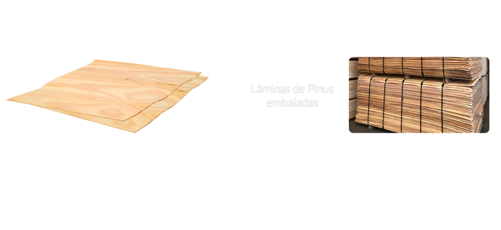 Lâmina Torneada de Pinus/Pine Veneer